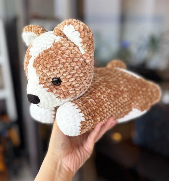 Corgi