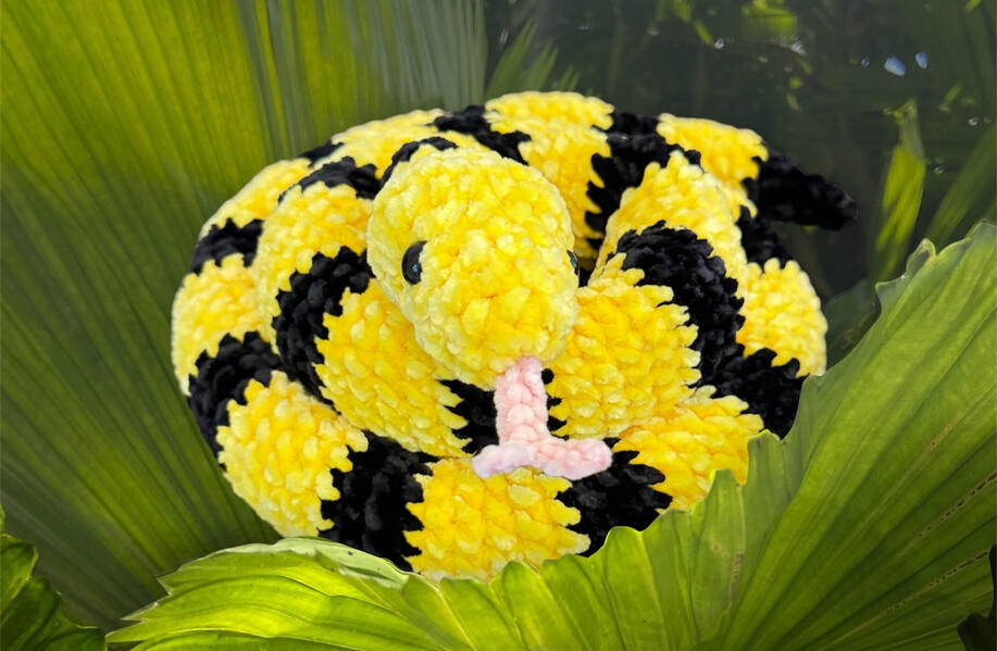 Snake