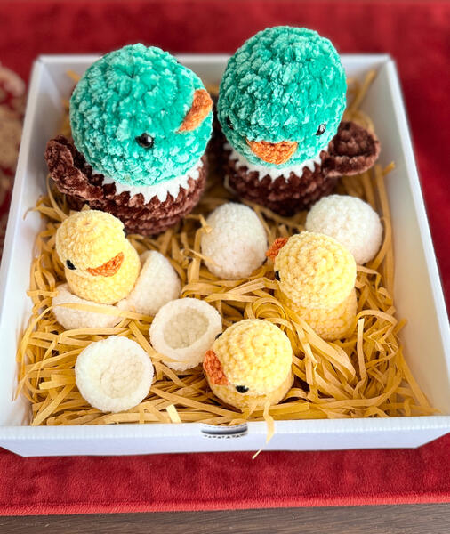 Mallard Duck Family