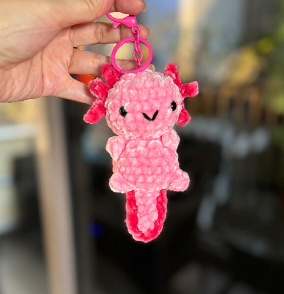 Axolotl