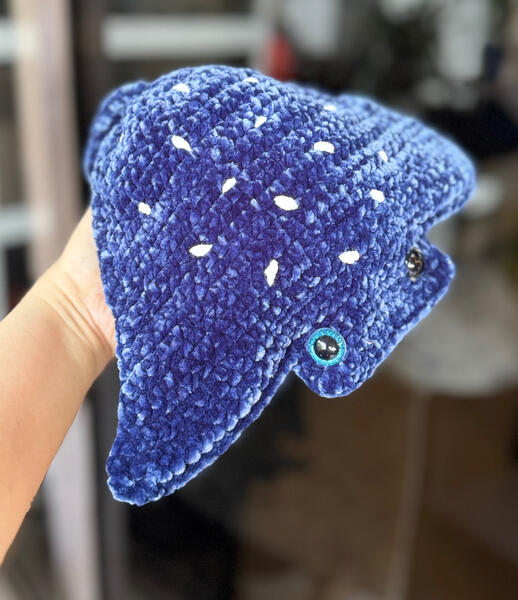 Manta Ray