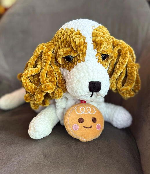Cockiel Spaniel